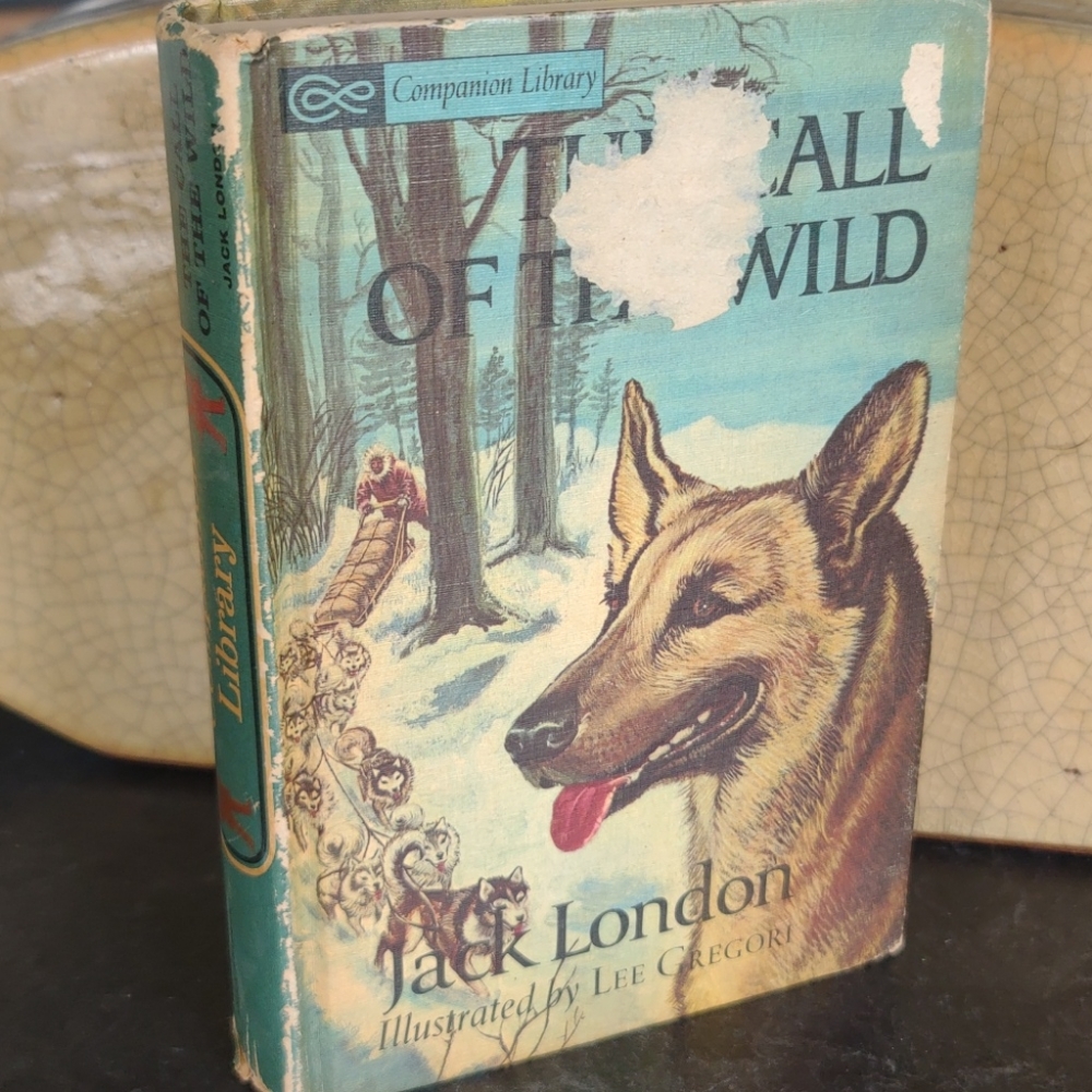 Companion Library - Picture 3 of 8